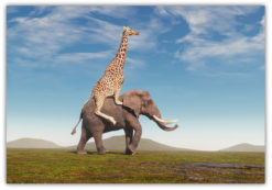 Elefanten och Giraffen