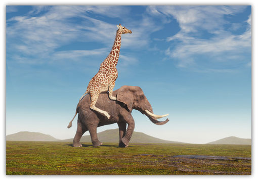 Elefanten och Giraffen