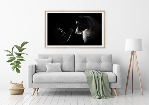 Poster Katt & Hund - Bild 3