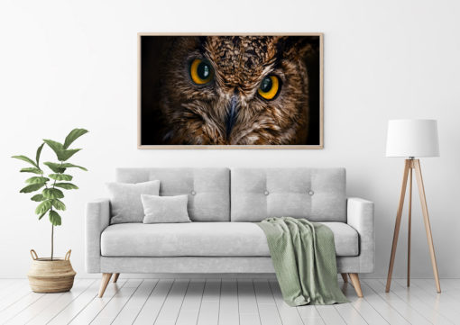 Poster Hornuggla - Bild 2