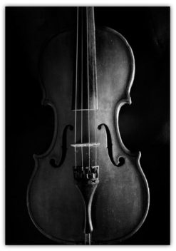 Violin poster