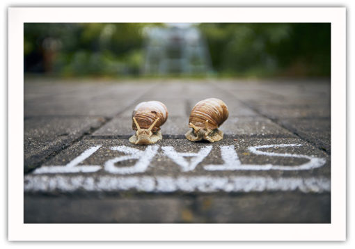 Lets Race Poster - Bild 2