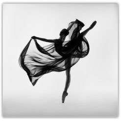 Ballerina Poster 1