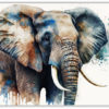 Elefant vattenfärg illustration