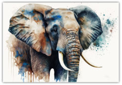 Elefant vattenfärg illustration