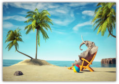 Nöjd elefant i solstol Poster