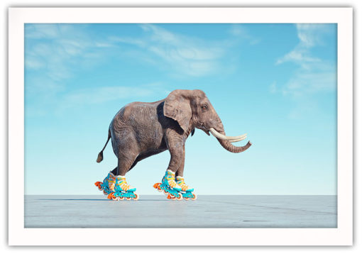 Elefant på rullskridskor Poster - Bild 2