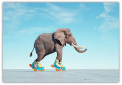 Elefant på rullskridskor Poster