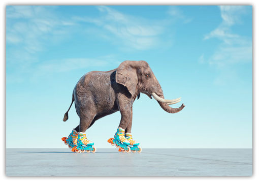 Elefant på rullskridskor Poster