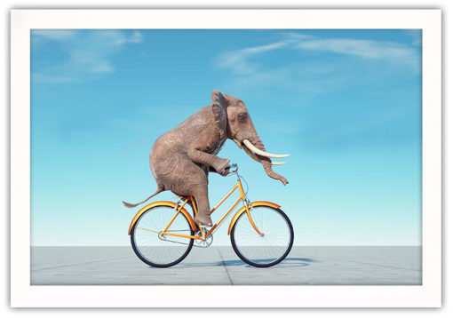 Elefant på cyckel poster - Bild 2