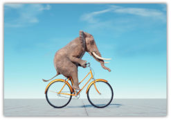 Elefant på cyckel poster