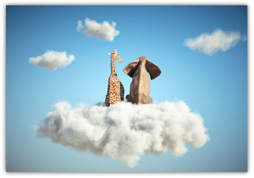 Giraff och elefant på molnet poster