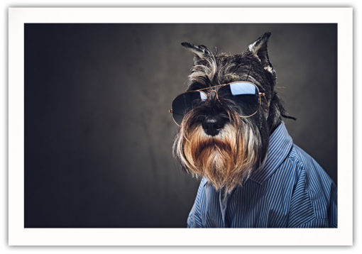 Cool dog poster - Bild 2