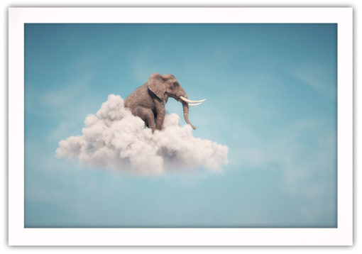 Elefant på molnet - Bild 2