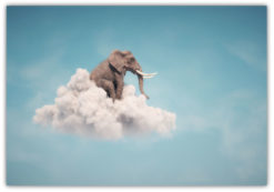 Elefant på molnet
