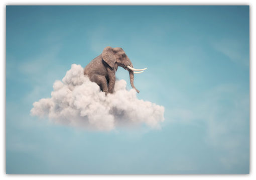 Elefant på molnet