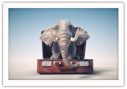 Elefant på väg på semester - Bild 2