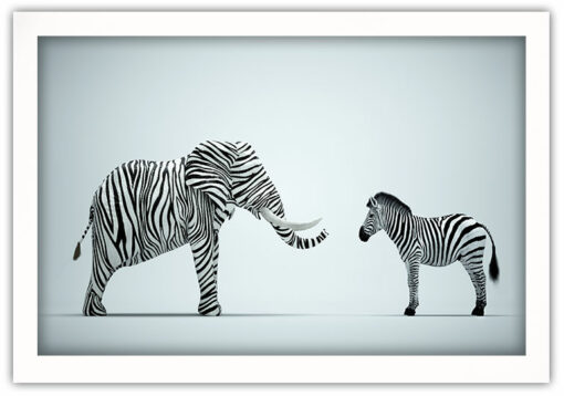 Elefant Zebra Poster - Bild 2