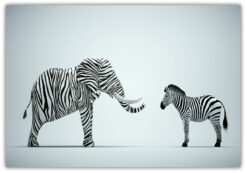 Elefant Zebra Poster