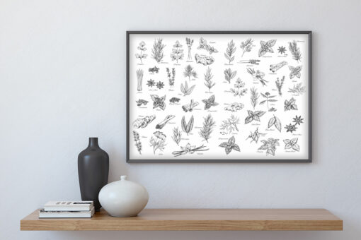 Kryddor och Örter poster - Bild 3