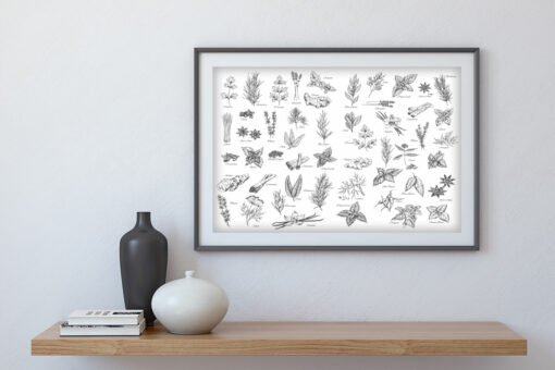 Kryddor och Örter poster - Bild 4