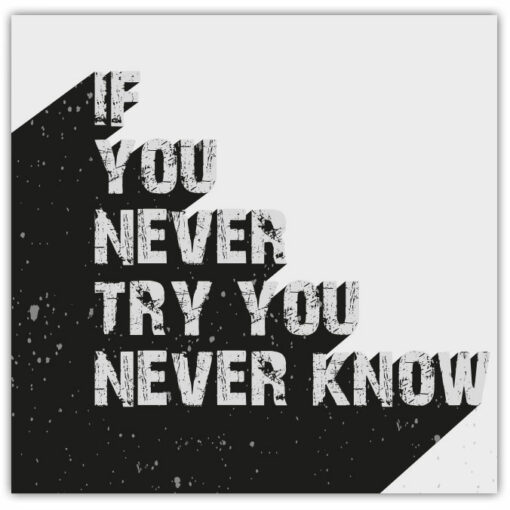 IF YOU NEVER TRY YOU NEVER NOW Poster - Bild 4