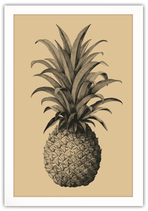 Vintage Ananas Poster - Bild 2