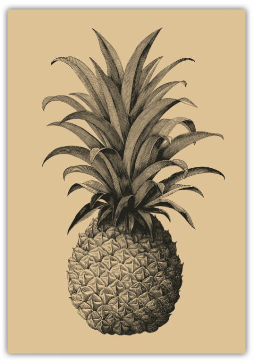 Vintage Ananas Poster - Bild 5