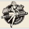 Mechanics repaire poster