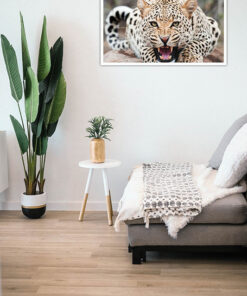 Alternative view of Leopard Poster