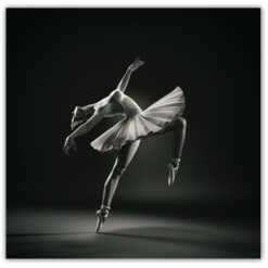 Poster Ballerina pos