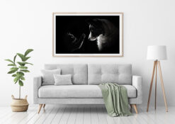 Poster Katt & Hund - Bild 3