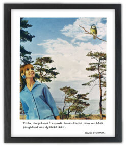 Jan Stenmark 24x30cm - GRÅMUS - Bild 3
