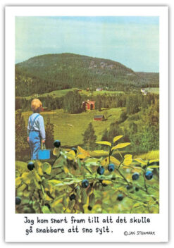 Jan Stenmark 24X30cm - BLÅBÄR - Bild 3