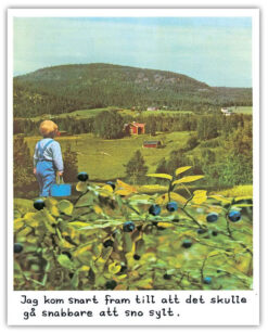 Jan Stenmark Blåbär Kort