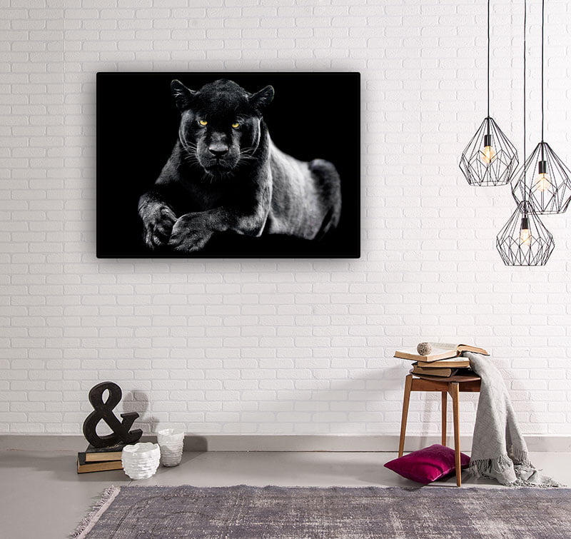 Black Panter - Bild 2