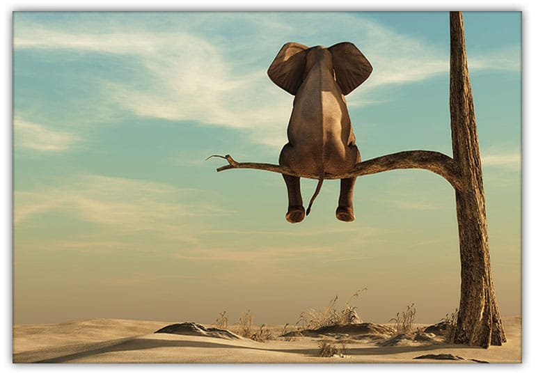 Elefant i trädet