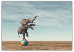 Elefant på Badboll
