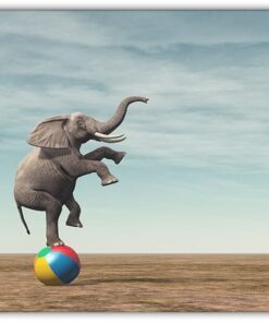 Elefant på Badboll