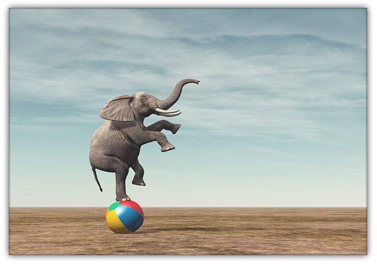 Elefant på Badboll