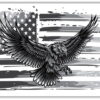 Amerikanska Örnen