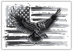 Amerikanska Örnen