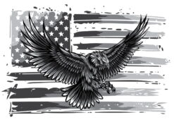 Amerikanska Örnen - Bild 3