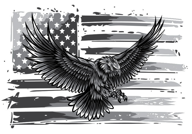 Amerikanska Örnen - Bild 3