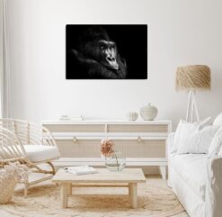 Gorillan I'm the boss - Bild 2