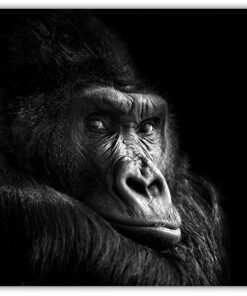 Gorillan I'm the boss