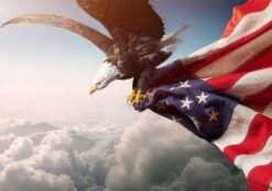 Örn flyger med Amerikanska Flaggan - Bild 3