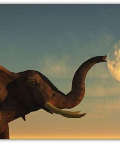 Elefant med snabel mot Månen