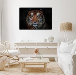 Alternative view of Sumatran Tiger Porträtt