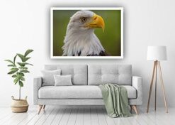 Djur Poster The Eagle - Bild 2